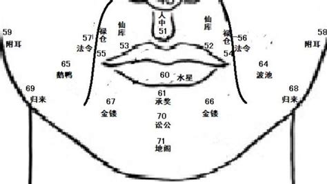 鼻翼面相|麦玲玲面相讲座之 鼻子 – 人相学